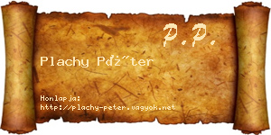 Plachy Péter névjegykártya
